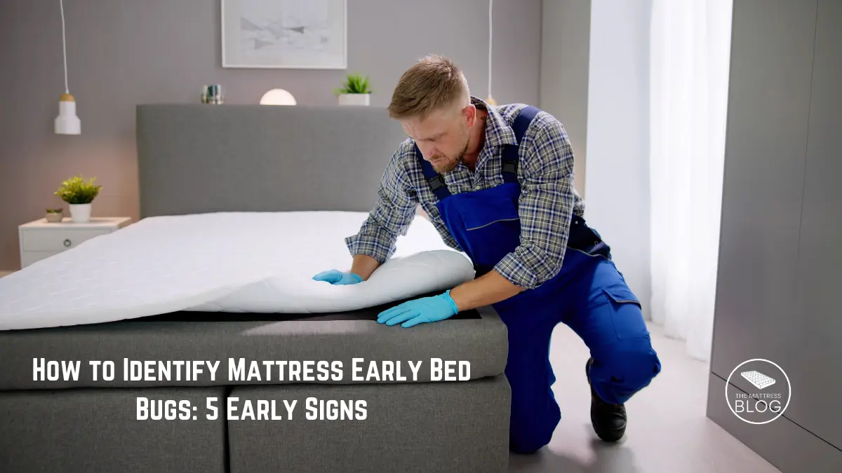 How To Identify Mattress Early Bed Bugs 5 Early Signs In 2024   123 456 7890 1.webp