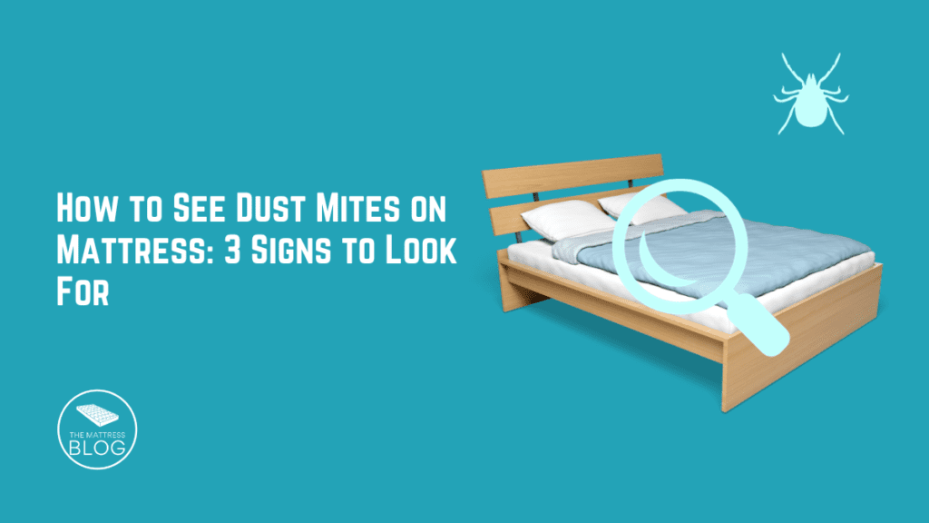 How to see dust mites